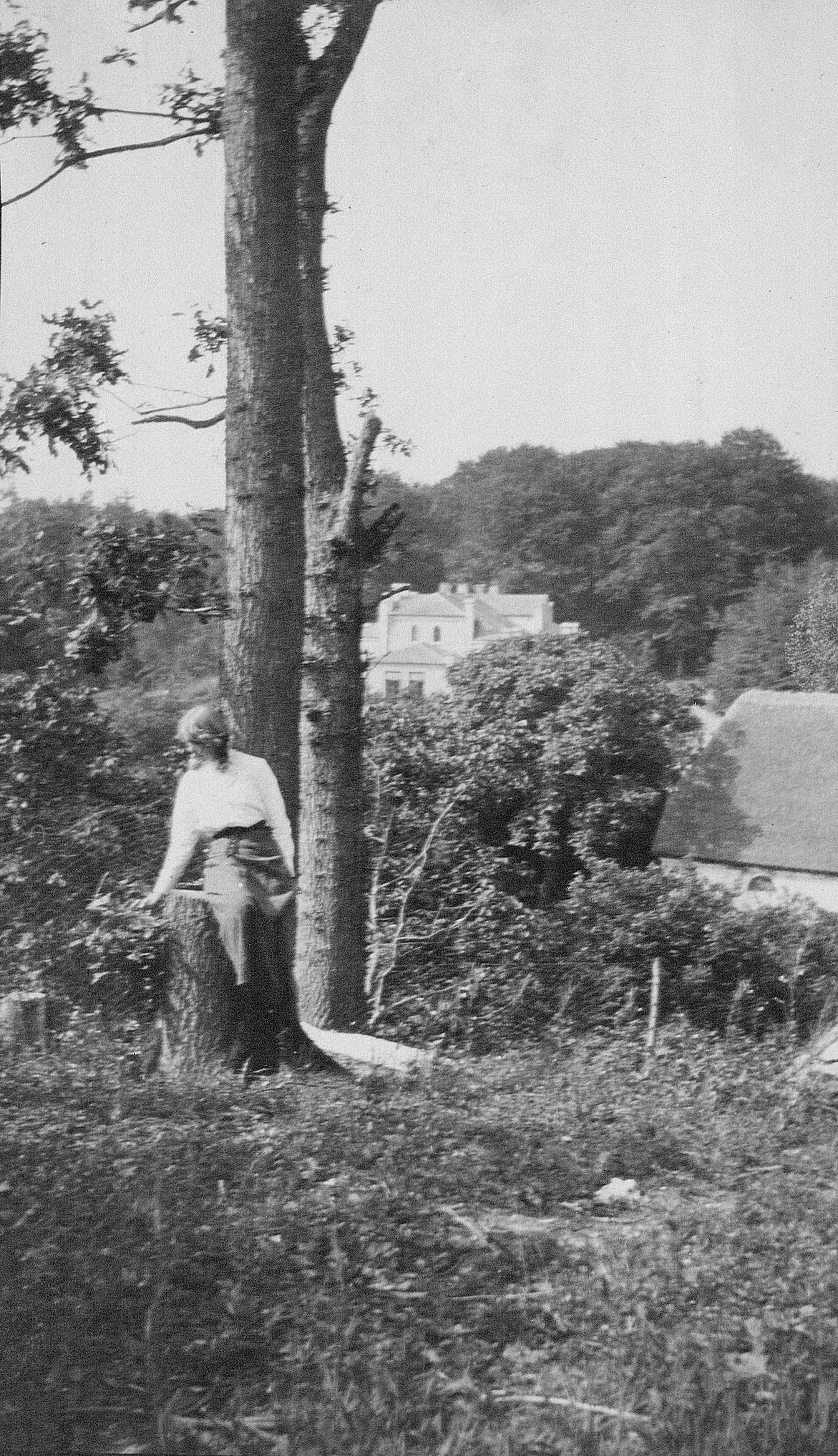 Søs i skoven, med Damgaard i baggrunden, sommeren 1917. (KB, HA Acc. 2008/25). 